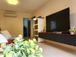 Blk 430 Jurong West Avenue 1 (Jurong West), HDB 4 Rooms #604992401